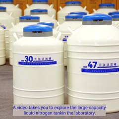Ever wonder how liquid nitrogen tanks maintain ultra-cold temps for months?