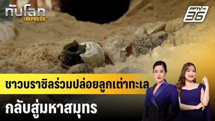ชาวบราซิลร่วมปล่อยลูกเต่าทะเลกลับสู่มหาสมุทร|ทันโลก EXPRESS | 26 พ.ค. 68