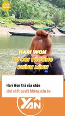 HariWon thà rửa chén chứ nhất quyết không nấu ăn
