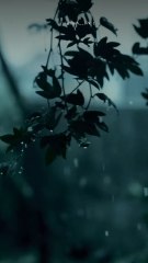 kisi ko kuch nahi milta 🤞