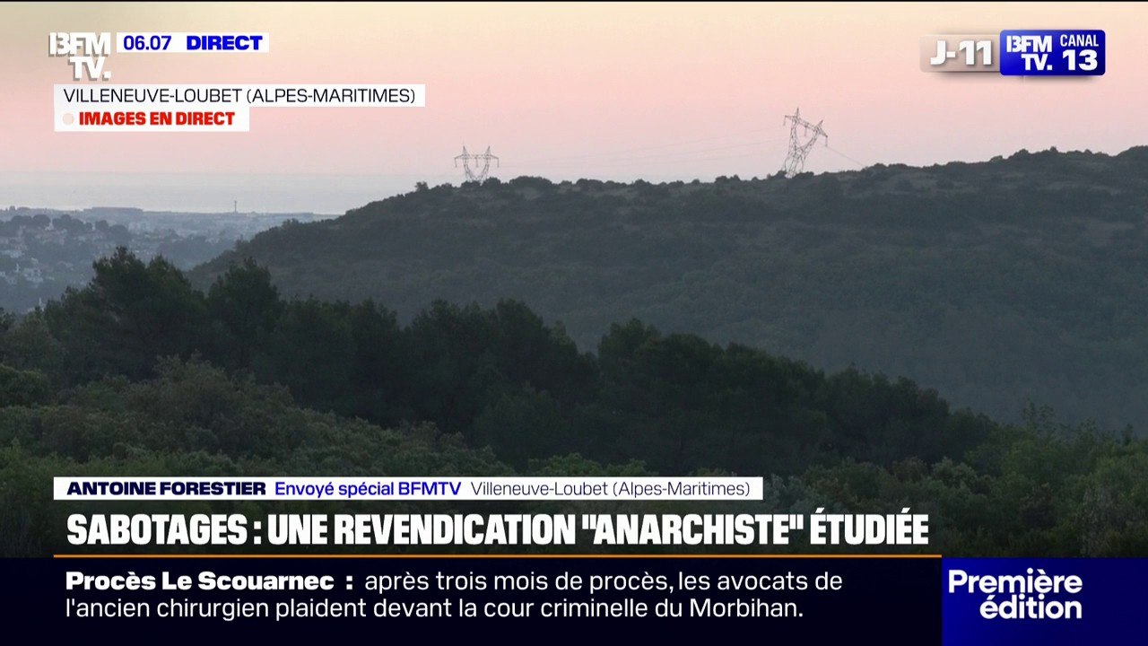 Mobilisation des agriculteurs: que contient la loi Duplomb ?