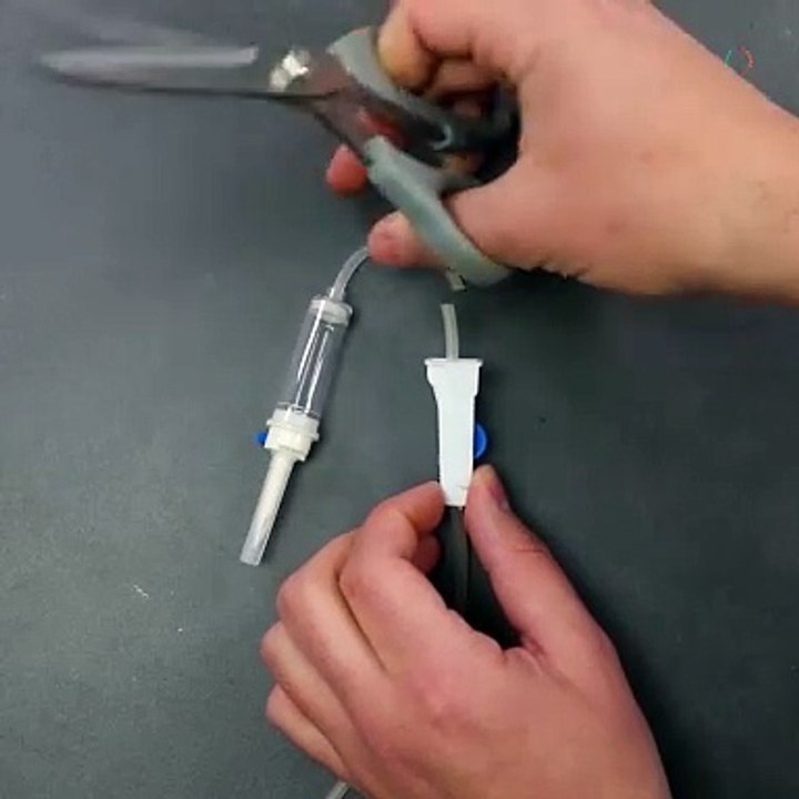 Self watering plant DIY!