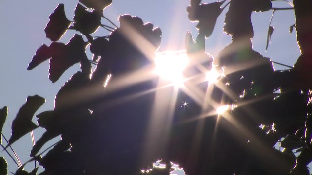 [날씨] 기온 오름세, 점차 여름으로...한낮 자외선·오존 주의 / YTN