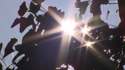 [날씨] 기온 오름세, 점차 여름으로...한낮 자외선·오존 주의 / YTN