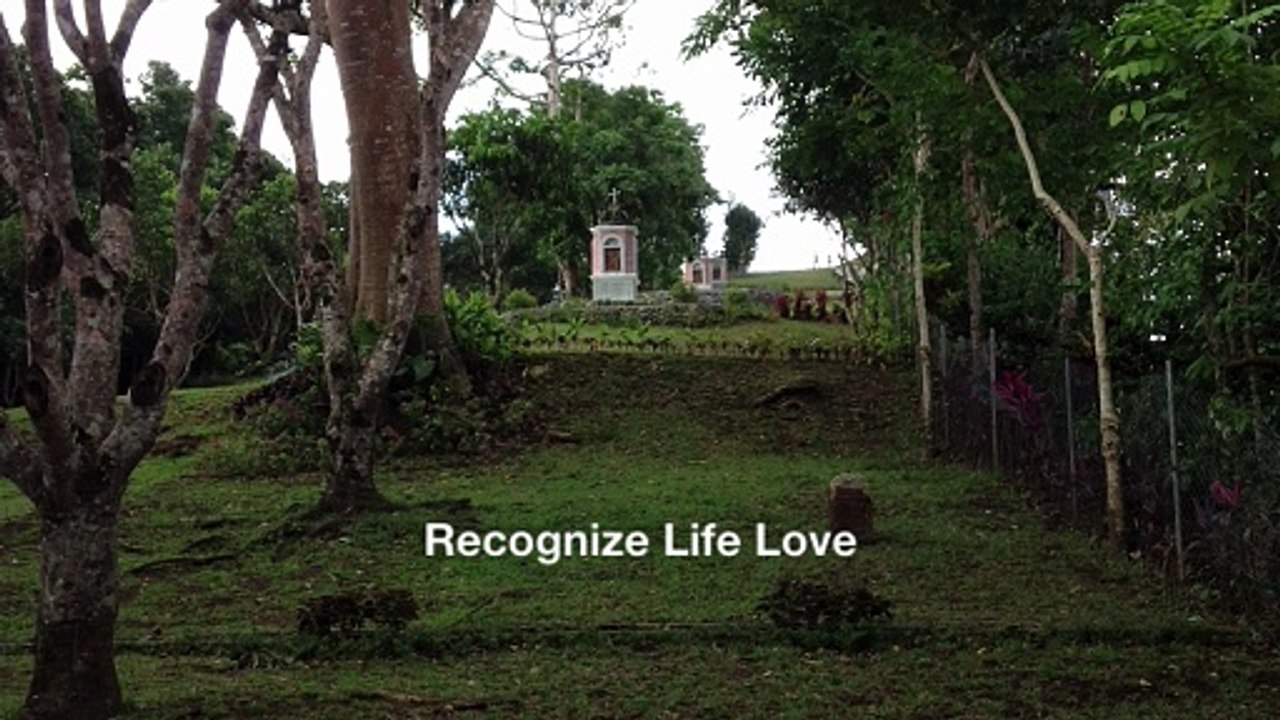 Recognize Life Love