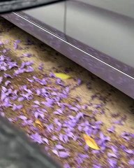 Η ανάρτηση της Φαίης Σκορδά στο instagram