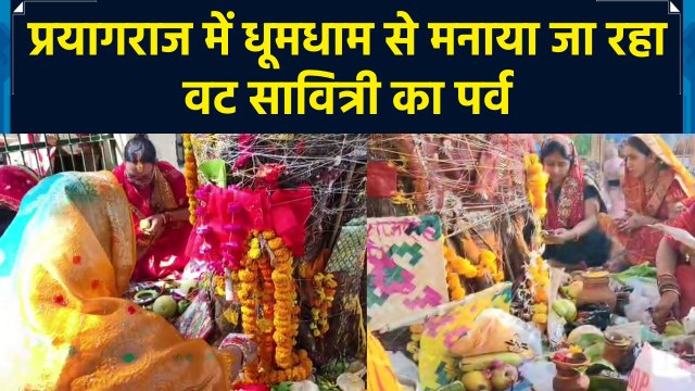 वट सावित्री के पर्व पर महिलाओं ने की वट वृक्ष की पूजा, पति की लंबी उम्र के लिए की प्रार्थना