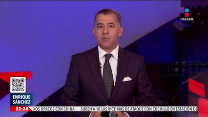 Inician investigación por agresión con ácido a dos perritas en Cuilápam de Guerrero, Oaxaca