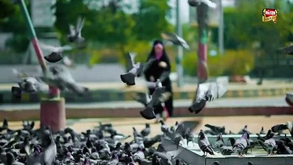 Waseem Badami _ Madina Dikha Dijiye _ New Kalam 2025 _ Ramadan Kareem _ Official Video _ Heera Gold