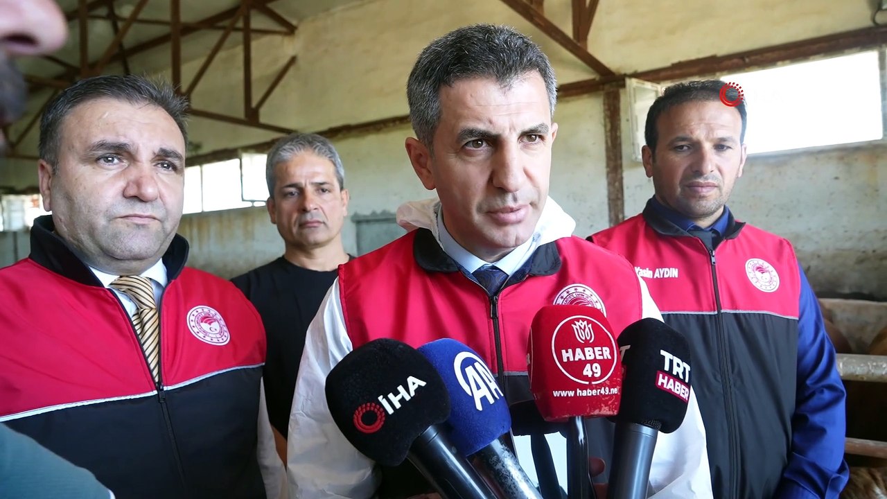 Muş'tan binlerce kurbanlık hayvan sevk edildi, milyarlarca gelir bekleniyor
