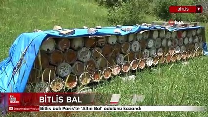 Bitlis balı Paris’te Altın Bal ödülünü kazandı