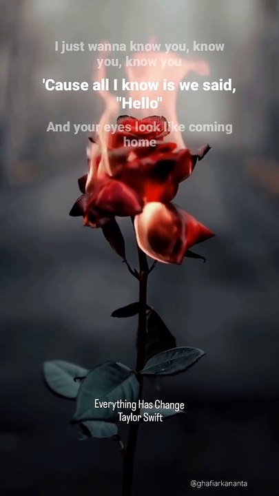 Everything Has Change - Taylor Swift