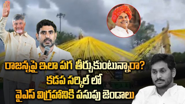 Viral video - Kadapa లో YSR విగ్రహానికి TDP జెండాలు | Mahanadu | Oneindia Telugu