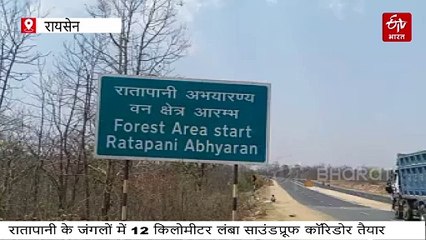 आइए करते हैं साउंडप्रूफ कॉरिडोर का सफर, हाइवे के चारों ओर रातापानी टाइगर रिजर्व