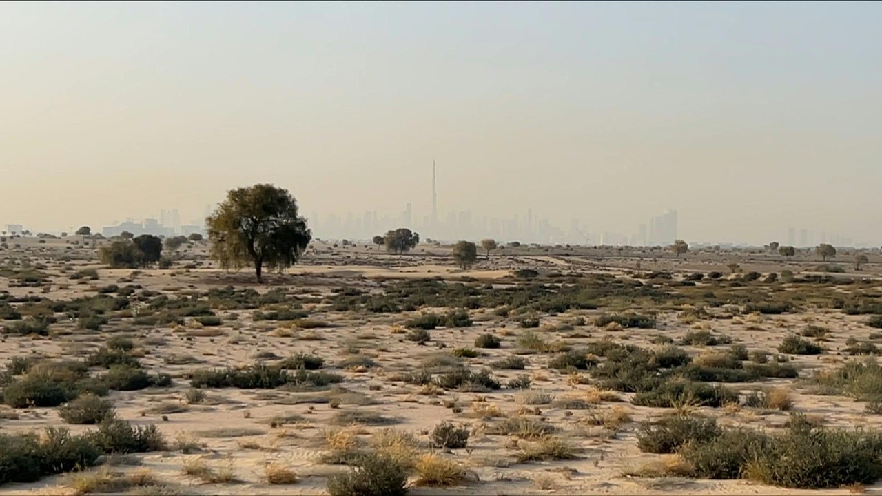 Hitzerekord für Mai in den Emiraten: 51,6 Grad gemessen