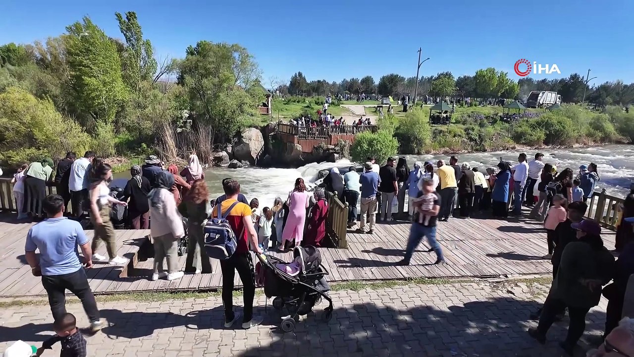 İnci kefalinin göçü sürüyor! Herkes izlemeye geliyor