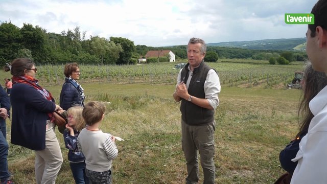 Le Domaine Vins des Cinq a ouvert ces portes ce dimanche 25 mai 2025 à Couthuin