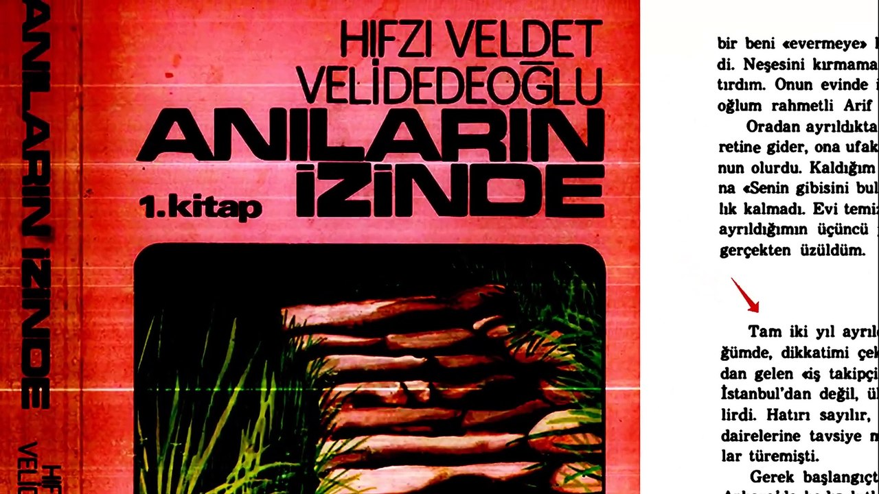 GİZLENEN KERHANE DEVRİMİ_ ATATÜRK DEVRİ GENELEVLERİ SAĞLIK BAKANLIĞINA NASIL BAĞLANDI_ (SAİD ALPSOY)