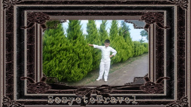 İngilizce Whatsapp Durumları ve Türkçe Anlamları