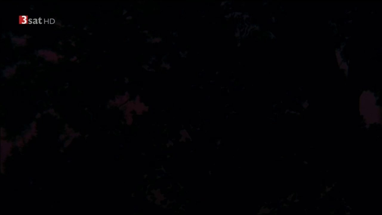 Wenn süß das Mondlicht auf den Hügeln schläft (1969)