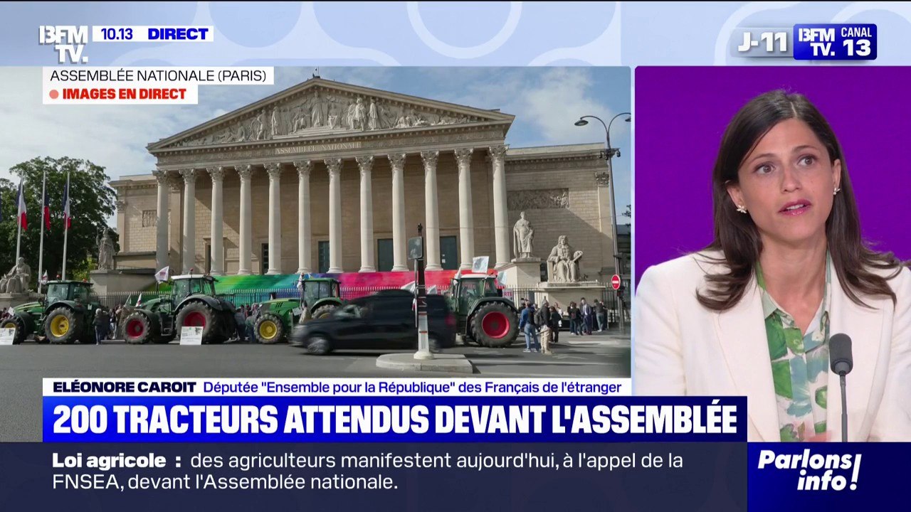 Loi Duplomb: pour Eléonore Caroit (Ensemble), les amendements déposés "empêchent le Parlement de faire son travail"