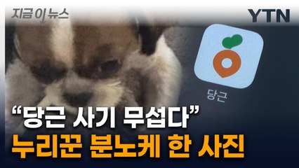 "3일만 강아지 봐달라"던 견주...당근으로 다시 연락했더니 '세상에' [지금이뉴스] / YTN
