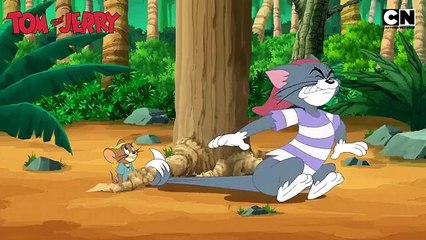 Tom & Jerry 😺🐭| A Frienemy in Need! 🧀| Compilation | Cat and Mouse | Cartoon for Kids