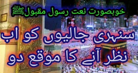 Sunehri Jaliyon ko aub Nazar | Saqib Hassan | New Naat | Best Kalam #saqibhassan #trending #reels