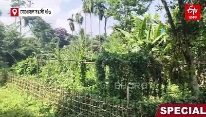 লুপ্তপ্ৰায় পক্ষীৰ মাতে পুৱা-গধূলি মুখৰ কৰি ৰখা খোৱাঙৰ সোণোৱাল বঙালী গাঁওখন