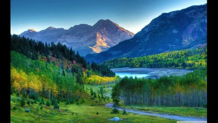 GENESIS chapters 1-25 Reading.