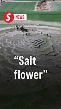 'Giant flower' blooms on salt lake in Qinghai