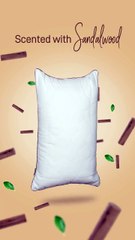 The Scent of Serenity Luxury in Every Breath