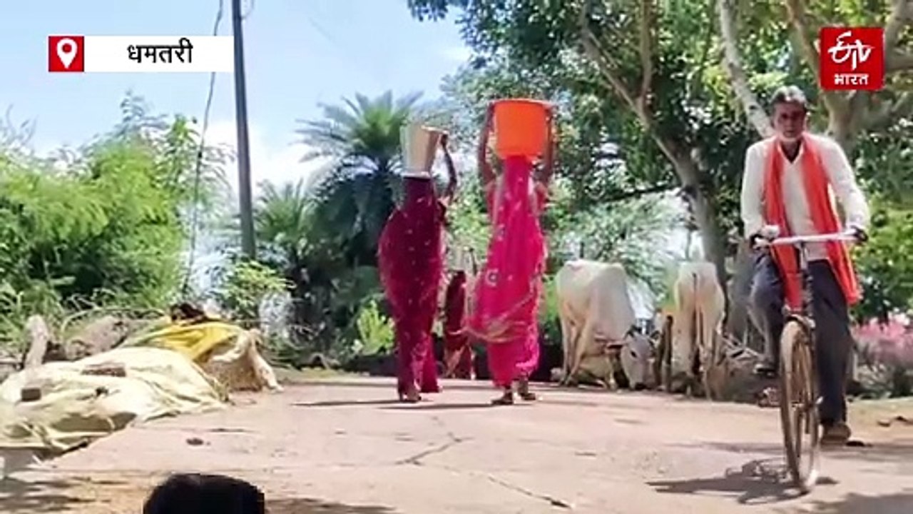 धान नहीं चना की खेती से मुनाफा, फसल चक्र परिवर्तन से किसानों को फायदा