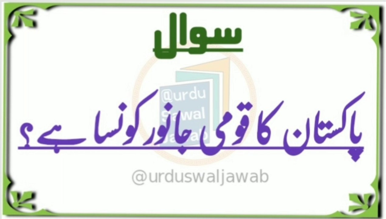 Islamic Urdu information. Gernal Knowledge Swaal Jawab. Quiz Questions. Questions Answers. Sawal jawab short. Paheliyan in urdu. Islamic question and answer. Riddles in urdu