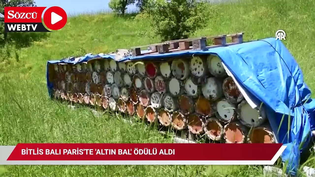 Bitlis balı Paris'te 'Altın Bal' ödülü aldı