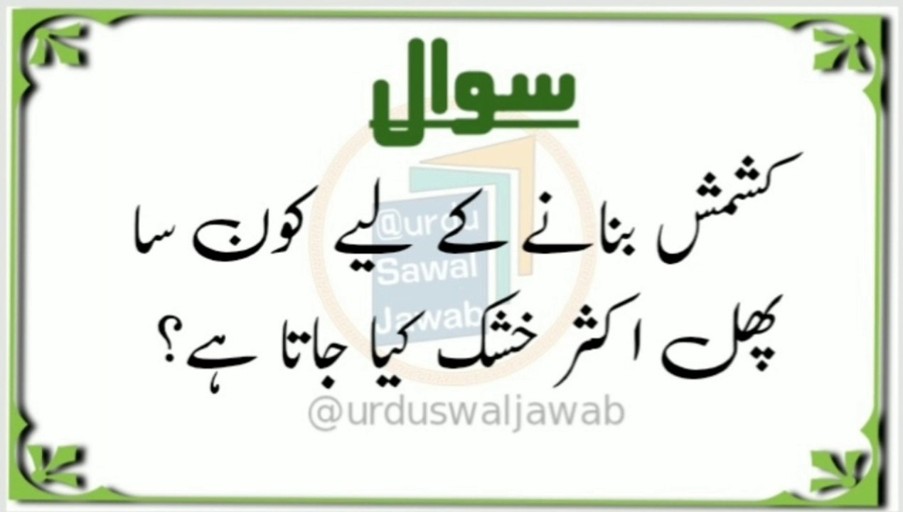 Islamic Urdu information. Islamic question Islamic Urdu information. Gernal Knowledge Swaal Jawab. Quiz Questions. Questions Answers. Sawal jawab short. Paheliyan in urdu. Islamic question and answer. Riddles in urdu  answer.