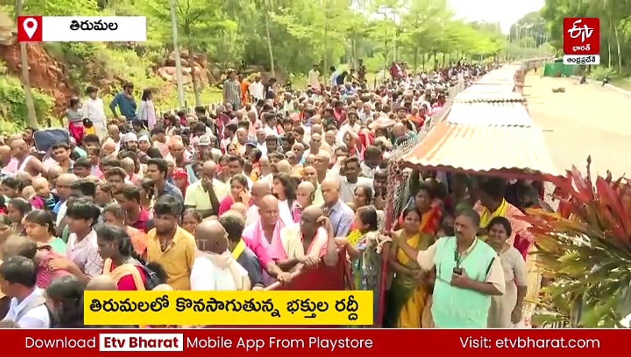 ఒక్కరోజే 91,538 భక్తులకు శ్రీవారి దర్శనం