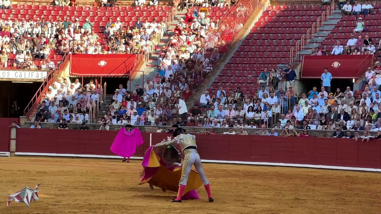 corrida cordoba 26 mayo 2025