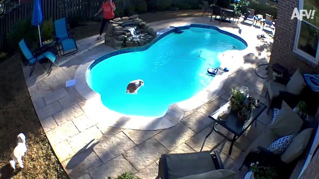Security Cam Saw EVERYTHING! 📹 👀 Fails Caught on Camera