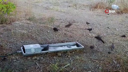 Bursa'da suluklar, yaban hayatının can damarı oldu