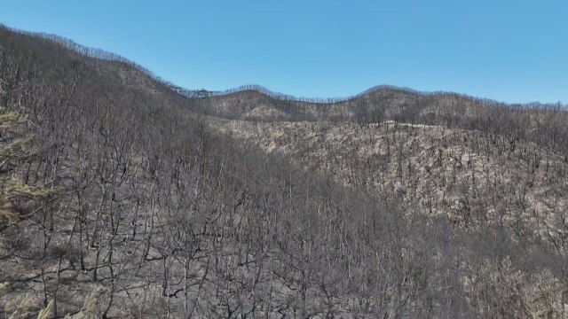 [경북] 경북, 산불 피해 지역 신재생에너지 단지 조성 추진 / YTN