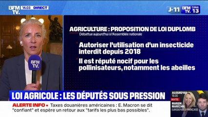 Loi Duplomb: "Ce texte est un danger pour la santé publique", indique Delphine Batho, députée "Écologiste et Social" des Deux-Sèvres