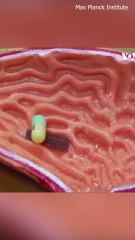 This Tiny Device Can Save Millions of Lives