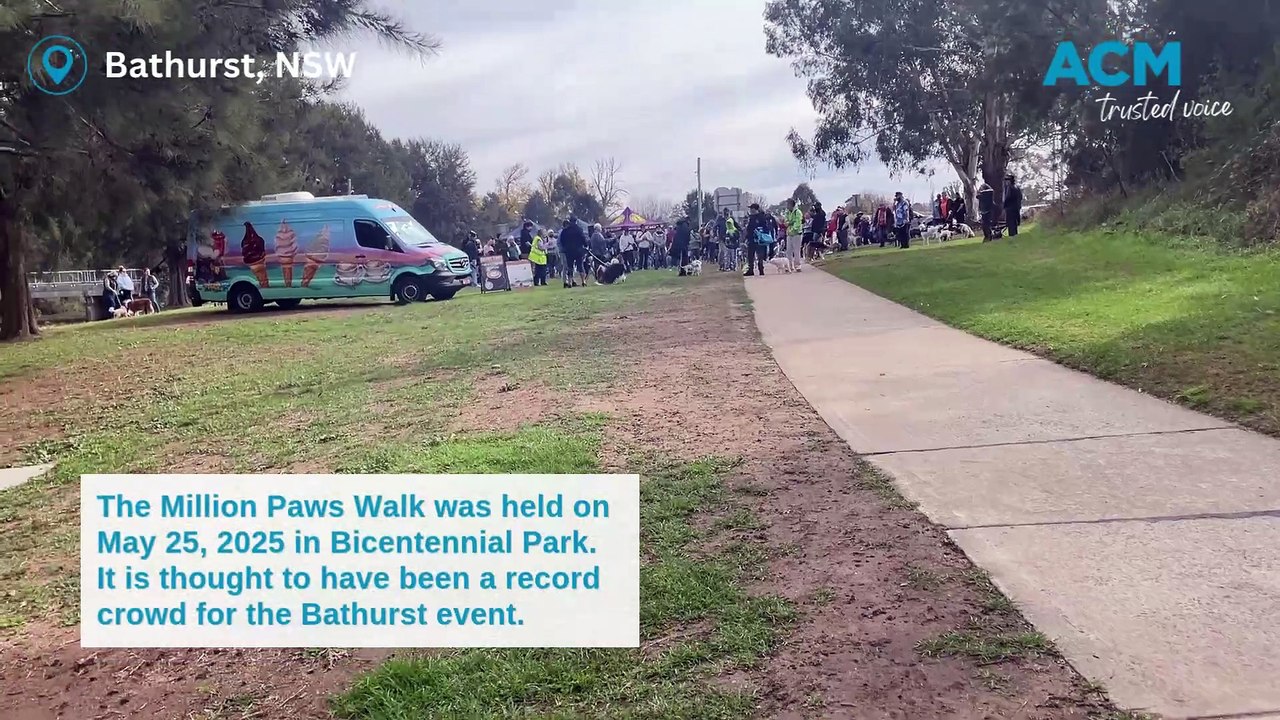 Bathurst's 2025 Million Paws Walk
