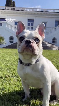 W9 lancera le lundi 16 juin à 19h50 sa nouvelle émission de télé-réalité The Detective Club : qui a volé Kiki ? , avec 18 candidats emblématiques du petit écran dont ... Cindy Sander!