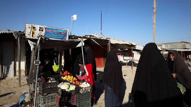 Syrian government and Kurds agree to evacuate families from al-Hol camp