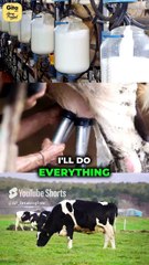 Exposing Dairy Industry! || Acharya Prashant