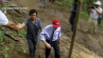 Mayday Desastres Aéreos - A TRAGÉDIA DE NIKI LAUDA