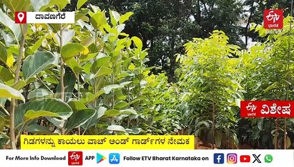 113 ಕಿ. ಮೀ ಹಸಿರು ಹೊದಿಕೆಗೆ ಸಿದ್ಧತೆ : 'ಹಸಿರು ಪಥ'ಕ್ಕಾಗಿ ರಸ್ತೆ ಬದಿ ತಲೆ ಎತ್ತಲಿರುವ ಗಿಡಗಳ ಮೇಲೆ ನಿರಂತರ 'ಸ್ಯಾಟಲೈಟ್' ಕಣ್ಗಾವಲು