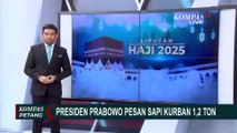Presiden Prabowo Pesan Sapi Kurban Seberat 1,2 Ton Asal Sragen